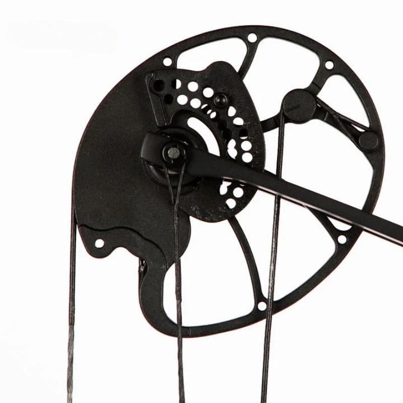 Accmos Archery Dragon X8 Hunti - Outdoor Sport Drawing 评论和价格