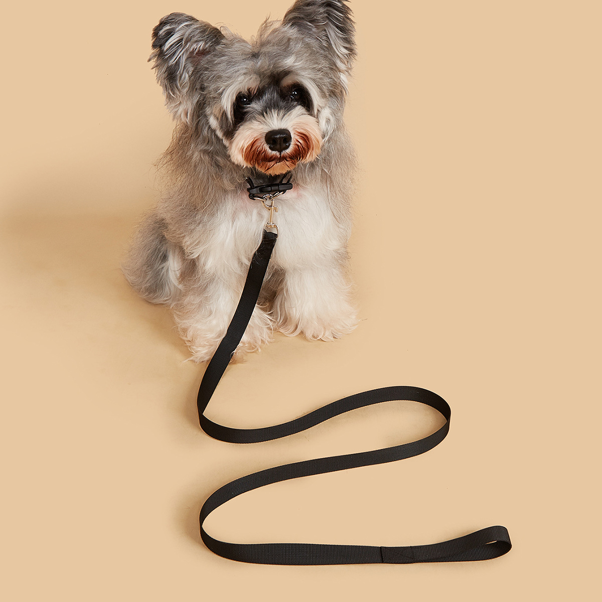 Pet Leash & Collar Set, Durabl - Headcollar Rope Set 评论和价格