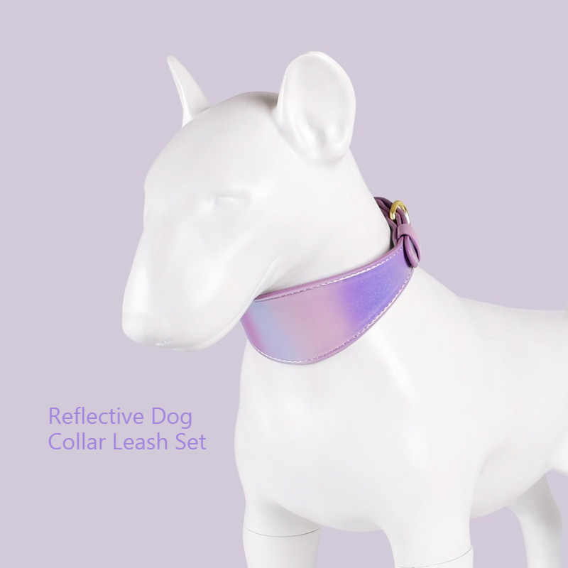 REFLECTIVE LEATHER DOG COLLAR  - Headcollar Rope Set 评论和价格