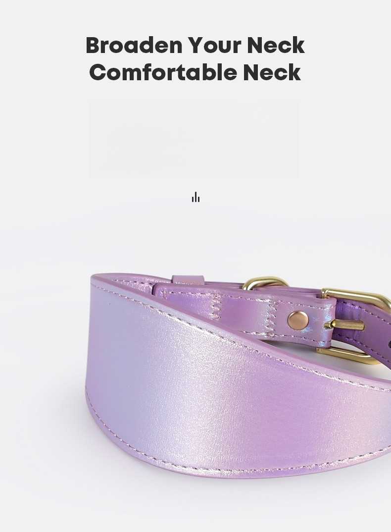 REFLECTIVE LEATHER DOG COLLAR  - Headcollar Rope Set 评论和价格